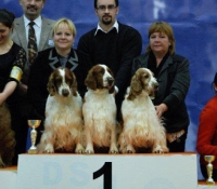 trencin1
