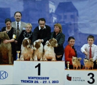 trencin2013