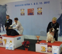 duocacibnitra