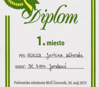 diplom-farbiarske-skusky-2015