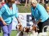 BEST BREEDING KENNEL