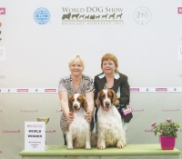 wds-janek