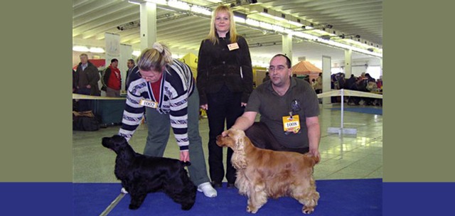 Judging CAC Nitra, SK