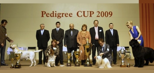 Pedigree Cup Nitra, SK