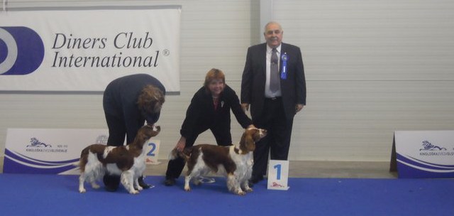 Eurodogshow Celje, SLO