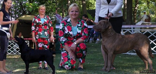 CACIB Székesfehervár/HU