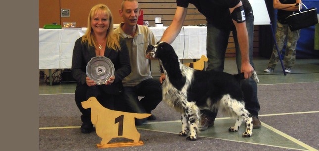 Spezial Rassehunde Ausstellung