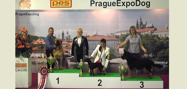 Duo CACIB Praha, CZ