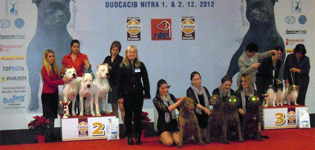 Posudzovanie Duocacib Nitra 2012