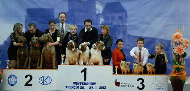 CACIB Trenčín 2013