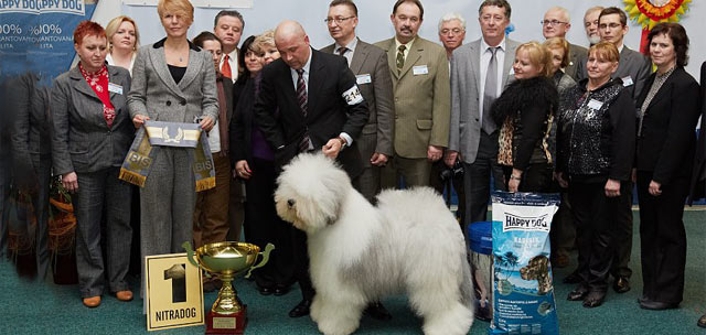 Posudzovanie DUOCACIB Nitra 2013