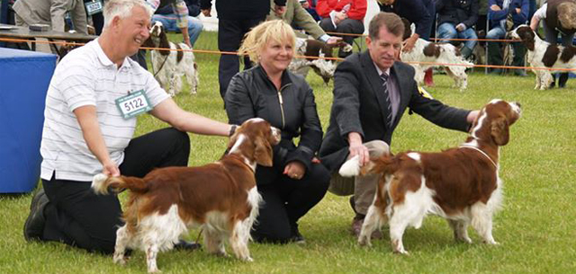 Blackpool Championchip dof show