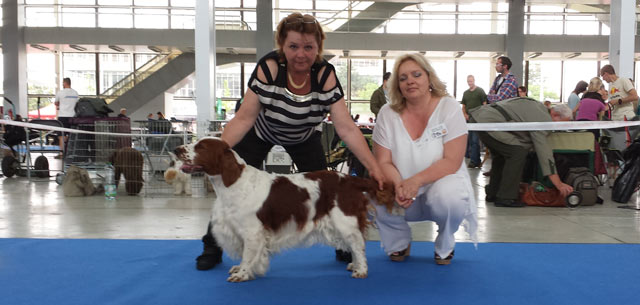 Intercanis Dog Show Brno, CZ