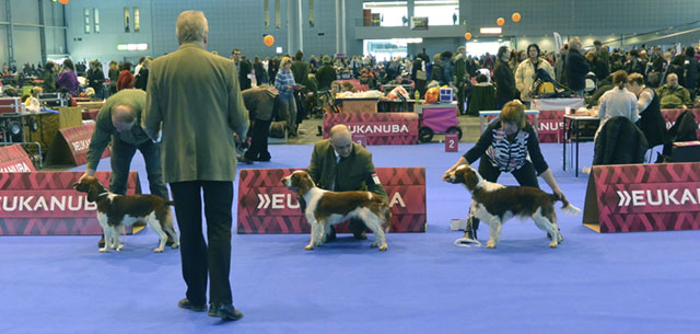 DUO CACIB Brno 2014