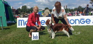 Zara Jankina zahrada