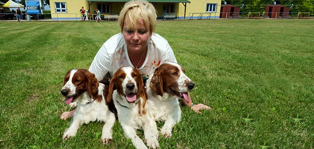 Regional dog show Povoda 2015