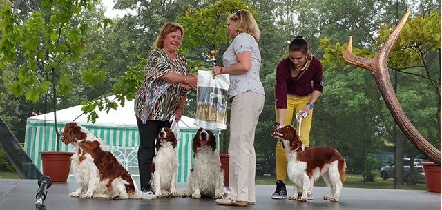 Žitnoostrovska Regional Show 2015