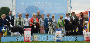 Posudzovanie Jana Janek