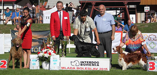 MVP Interdog Bohemia Mladá Boleslav 2015