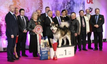 Posudzovanie New Year & Winter Show 2016