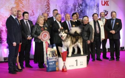 Posudzovanie New Year & Winter Show 2016