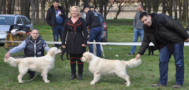 Judging in Serbia