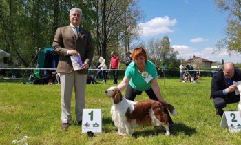 Španiel a Retriever klubová výstava KCHLS Humpolec