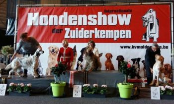 Judging Lommel, B