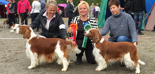 13.-14.8.2016 judging Raisio National Dogshow "Elonäyttely" Raisio/FIN