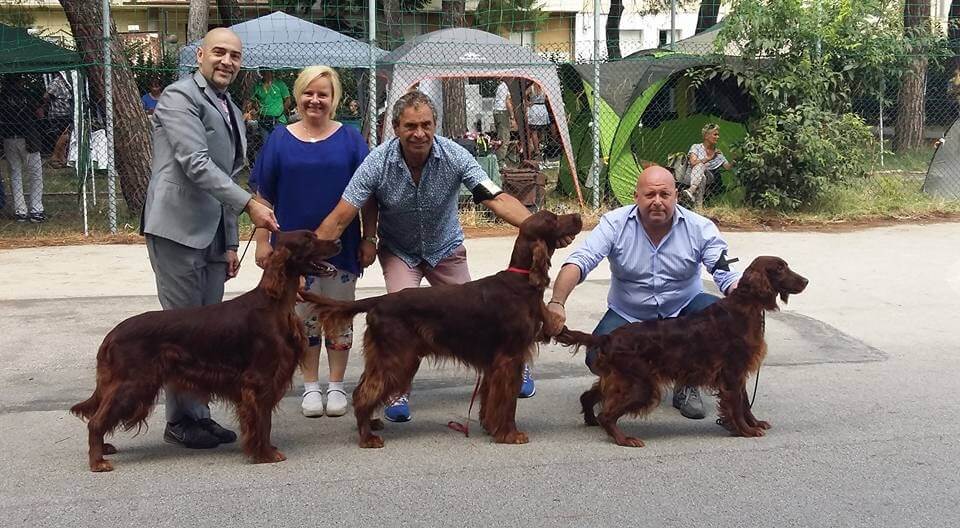 7.8.2016 posudzovanie 1 Esposizione Inaternazionale Canina CACIB di JESI/Italy