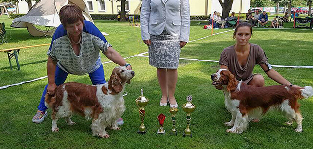 Aristo Jankina záhrada – CAC, Klubový víťaz. Sabrina Jankina zahrada – Klubový víťaz, CAC, BOB