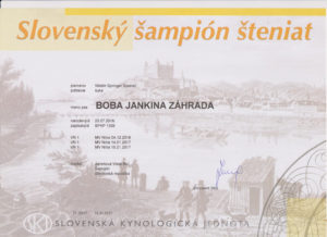 Boba Jankina zahrada