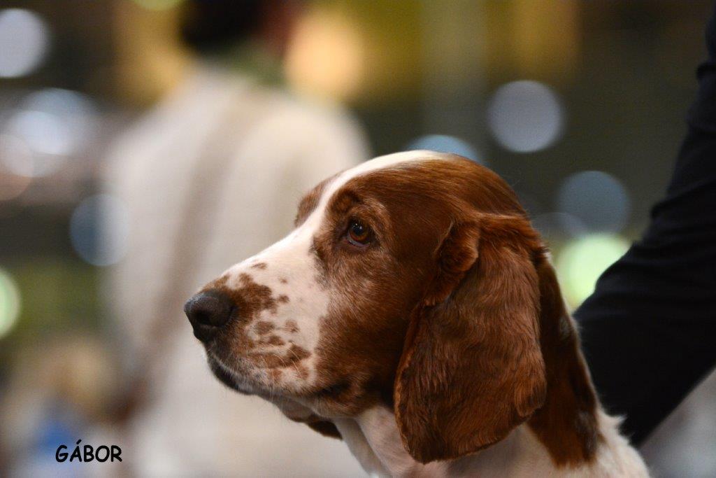 Uršula Jankina záhrada