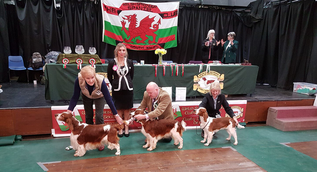 best puppy dog BEN Jankina zahrada