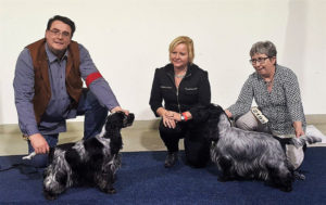 11.12.2016 International Dog Show Kassel