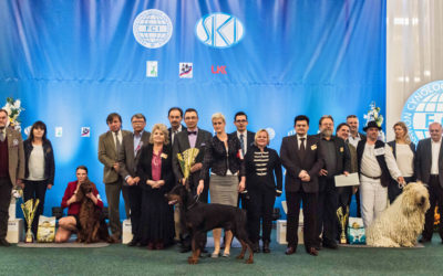 NDS Bratislava 2017