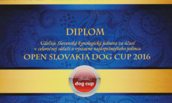 Slovakia dog cup 2016