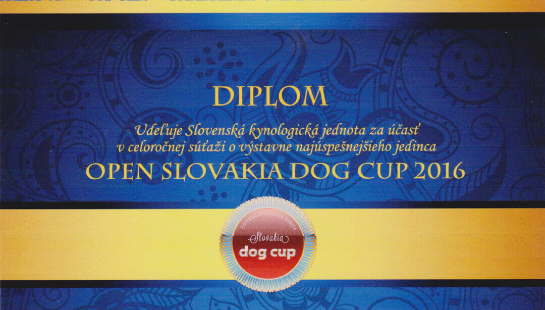 Slovakia dog cup 2016