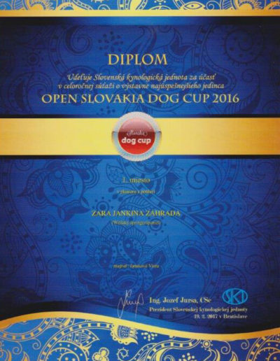 Slovakia dog cup 2016