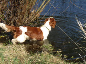 BAJA Jankina zahrada 8mes