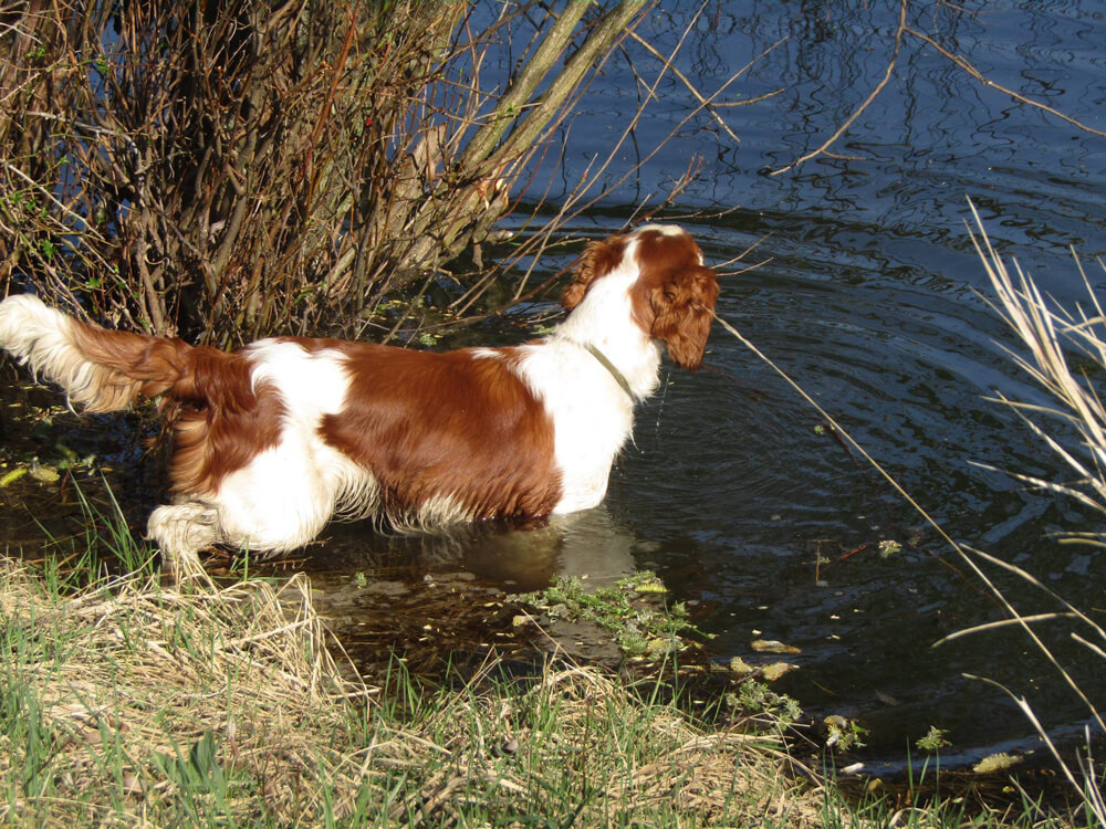 BAJA Jankina zahrada 8mes