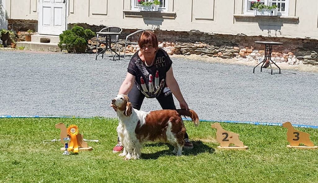 28.05.2017 SPECIAL SPANIEL SHOW Castle Namest na Hane/CZ Judge : Mrs.Elaine Thomas/UK SABRINA Jankina zahrada Best veteran