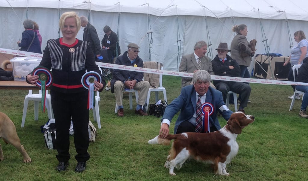 09.08.2017 Best in show Vale of Glamorgan/UK