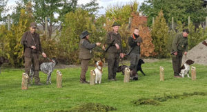7.10.2017 Dolný Štál Jesenné skušky retrieverov