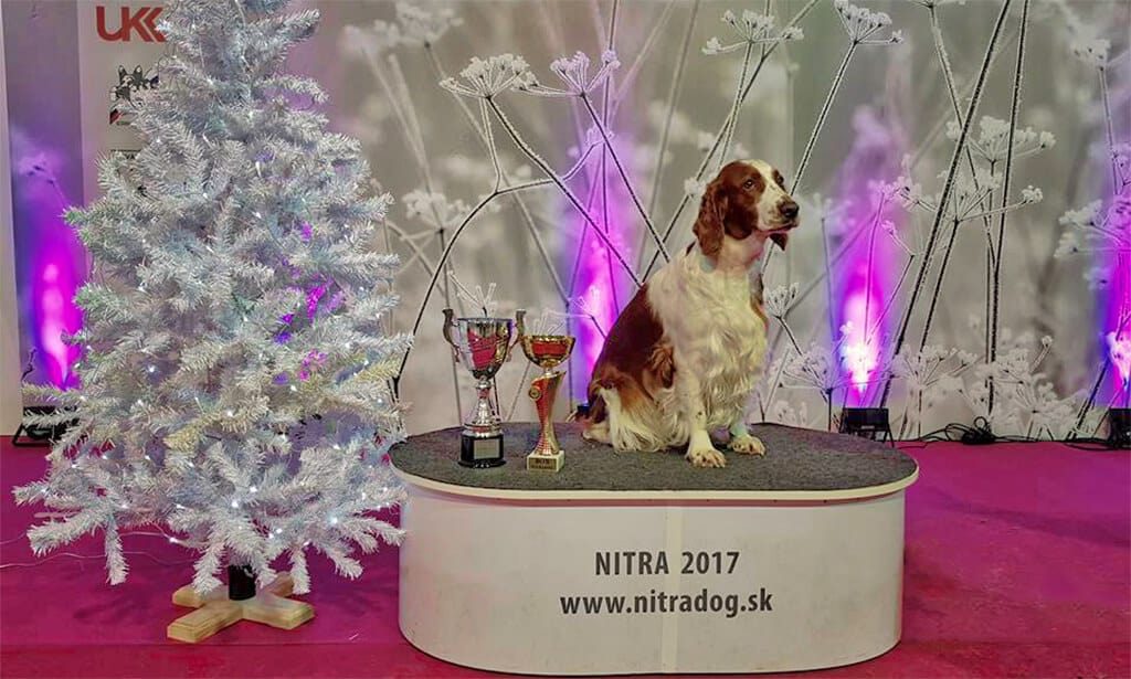 Zara Jankina zahrada