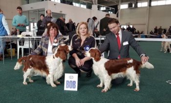 National Dog Show Bratislava 2018