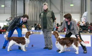 3.-4.2.2018 DUOCACIB Brno