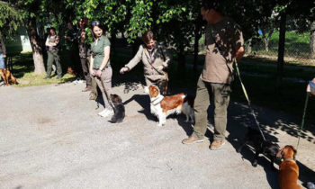 Neded Hunting exam