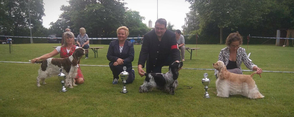 27.5.2017 Moje posudzovanie na Specialdogshow SRA NEUWIED/D