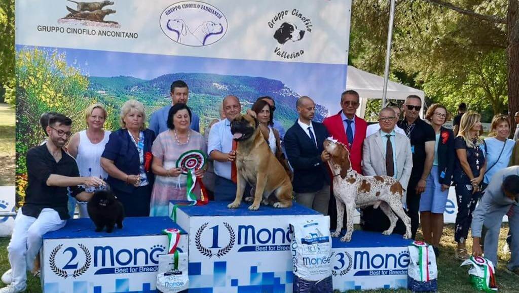 5.8.2018 MARCHE WINNER Italia–Jana Janek judging